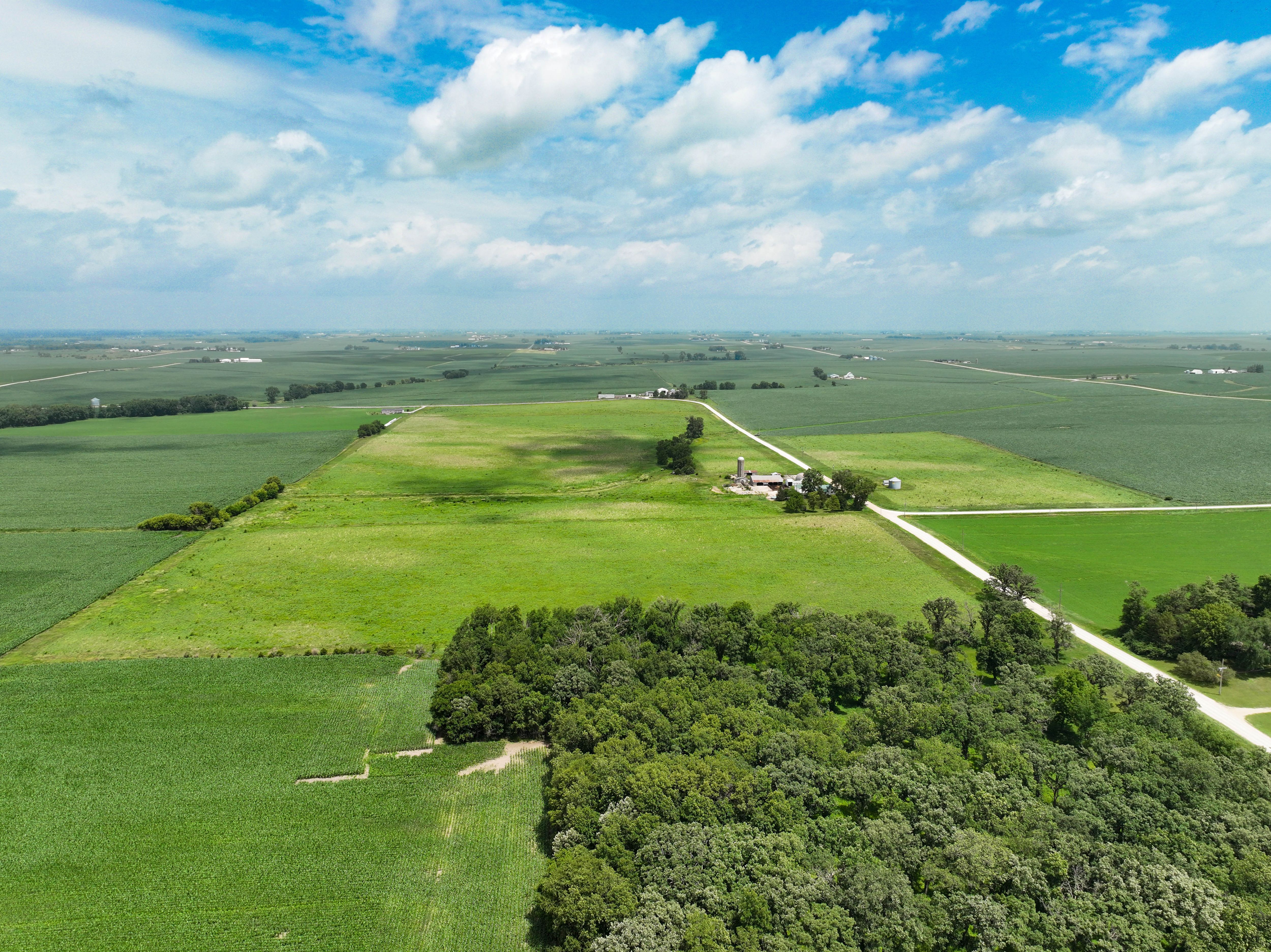 Listing Photo: 5_Iowa Farmland For Sale